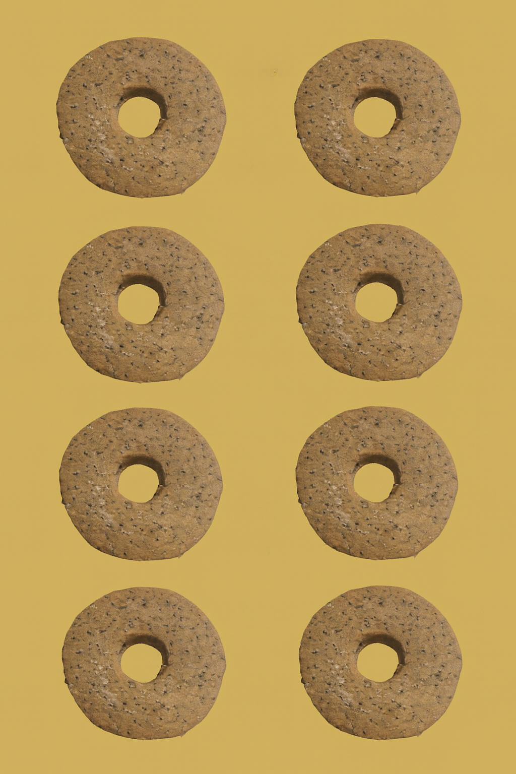 Toasted barley biscuit